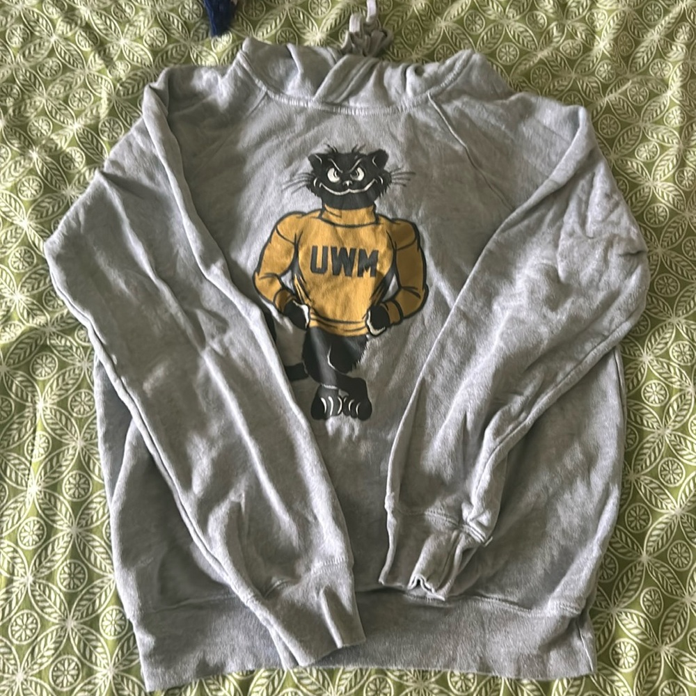 University of Wisconsin Hoodie